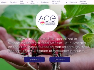 agro-food SMEs of Latin America