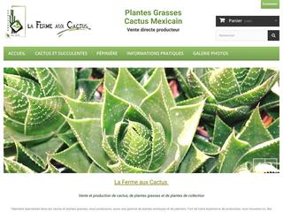 Achat cactus en ligne