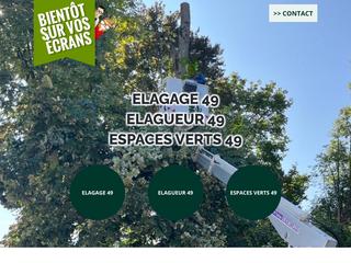 Élagage 49 Maine Et Loire