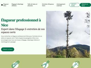 Élagueur Nice, Abattage Arbre Nice, Paysagiste Nice, Taille De Haie Nice, Entretien Jardin Nice