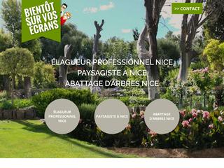 Élagueur professionnel Nice