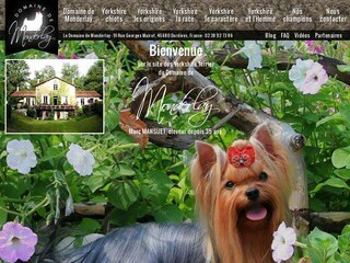 Élevage Yorkshire Toy Nain LOF Proche Paris Dordives