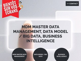 Master Data Management Consultant Expert France