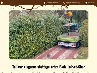abattage d'arbre haut 41