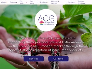 agro-food SMEs of Latin America, French and European market, acculturation of consumer products, ace international development