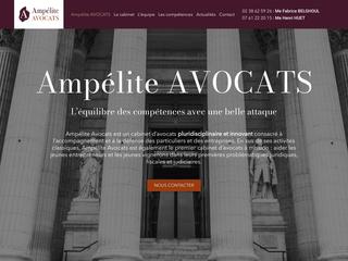 avocat droit societe Paris