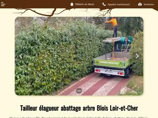 elagage 41, elagueur 41, arboriste grimpeur blois, elagage Blois