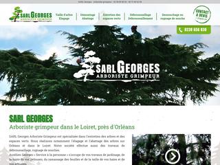 elagueur Orleans, Taille d'arbre Orleans, arboriste 45, rognage de souche