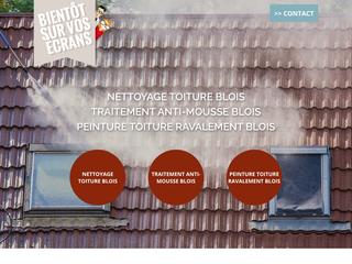 nettoyage toiture Blois