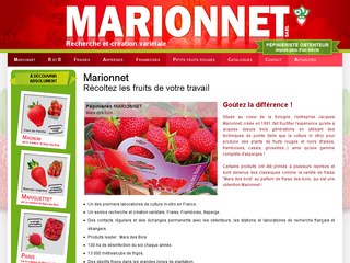 plants fraisiers, plants de fruits noirs, plants fruits rouges, gamme complète d'asperges